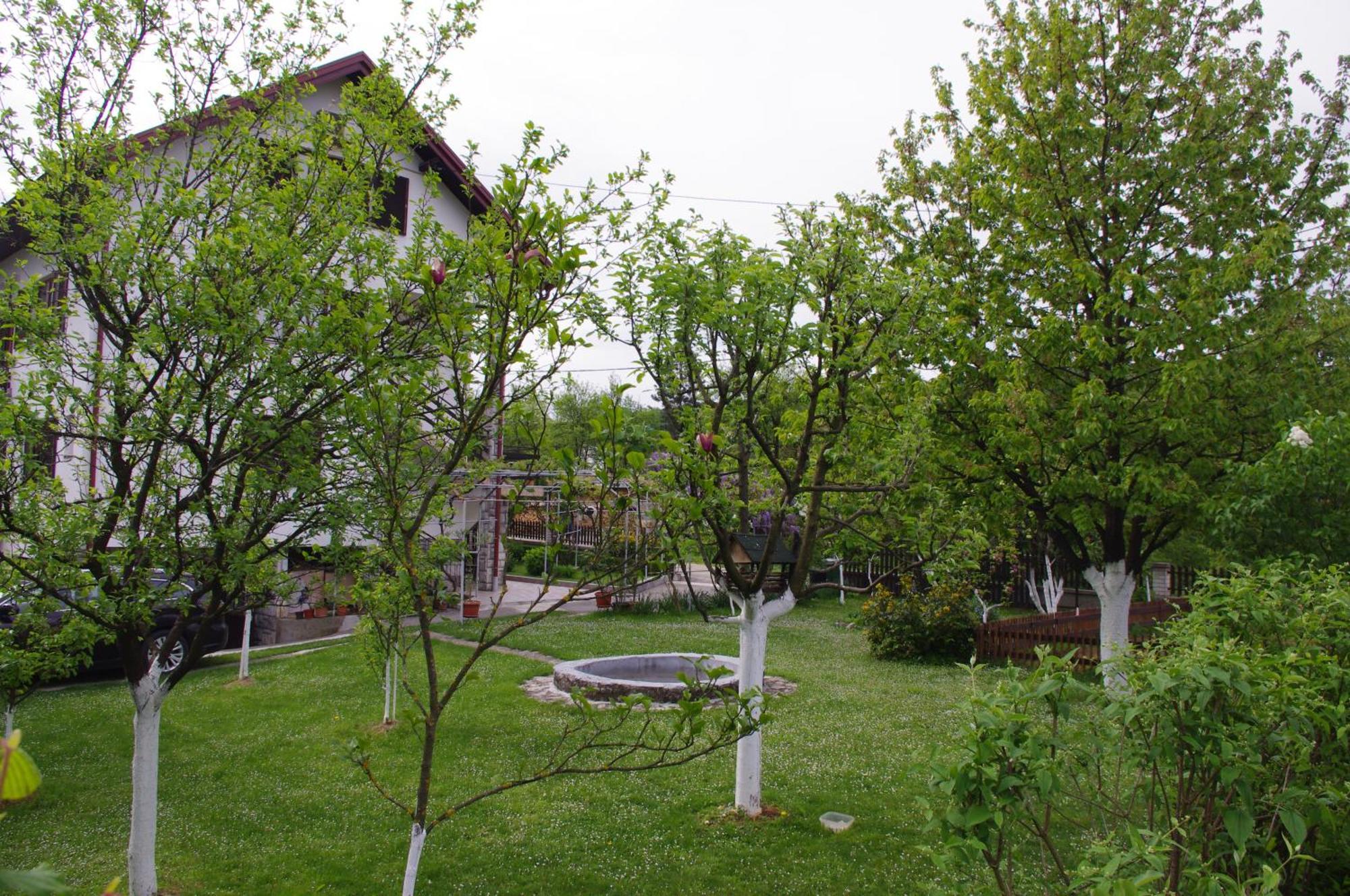 Apartment Tomy Slunj Extérieur photo