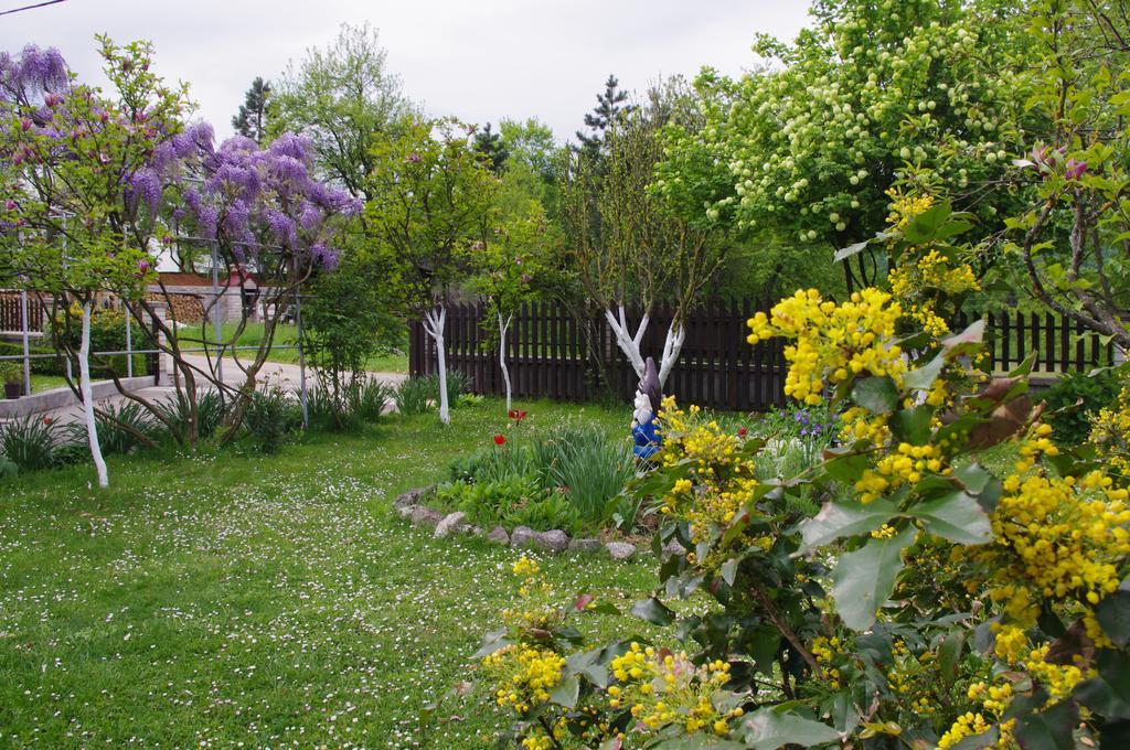 Apartment Tomy Slunj Extérieur photo
